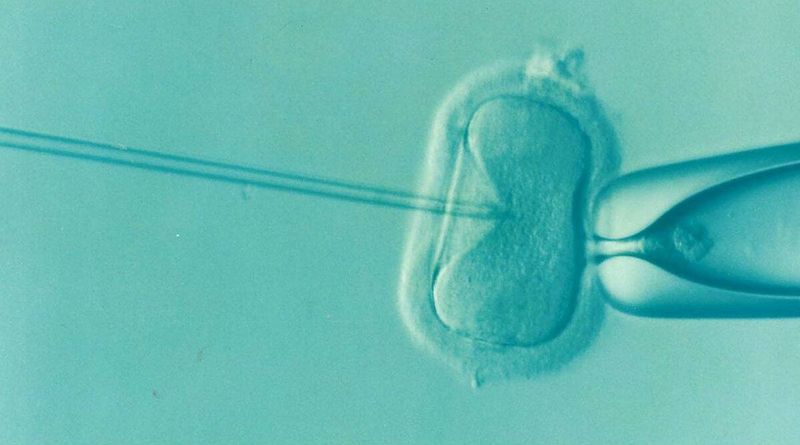 infertilidade, tratamento de infertilidade, fertilização in vitro, tratamento de fertilização in vitro, ciclos de fertilização in vitro, falha de fertilização in vitro, saúde reprodutiva, paternidade, notícias expressas indianas