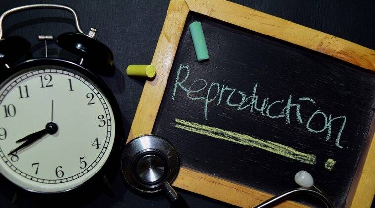 congelamento de ovos, tratamento de fertilidade