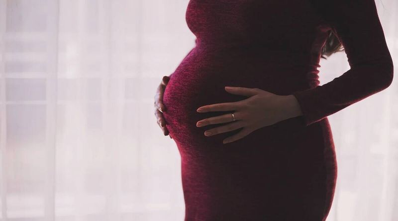 apetite, perda de apetite durante a gravidez, por que as mulheres grávidas perdem o apetite, primeiro trimestre de gravidez, alimentação, saúde, paternidade, notícias do Indian Express