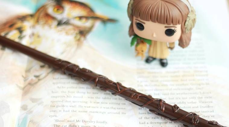 varinhas de harry potter, potterheads