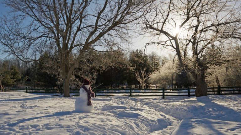 Weisse Weihnachten? Weitwinkelansicht des eiskalten Wintermorgens mit Schneemann