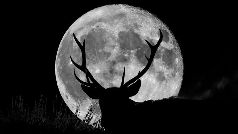 Buck Moon 2021, Wild Stag silhouetté avec une pleine lune. Peak District anglais - Photos