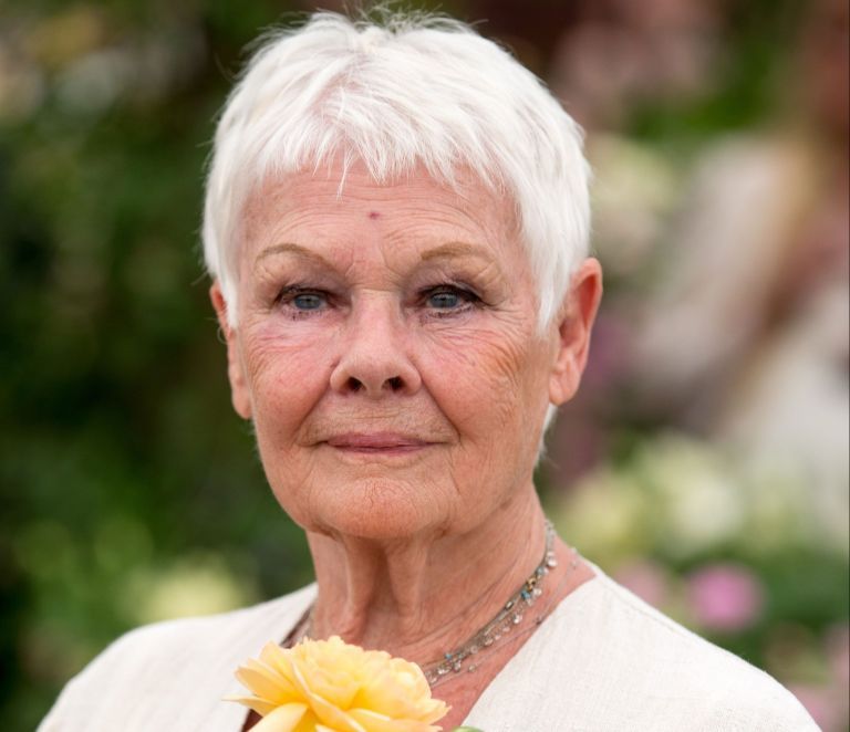 judi-dench-zrak