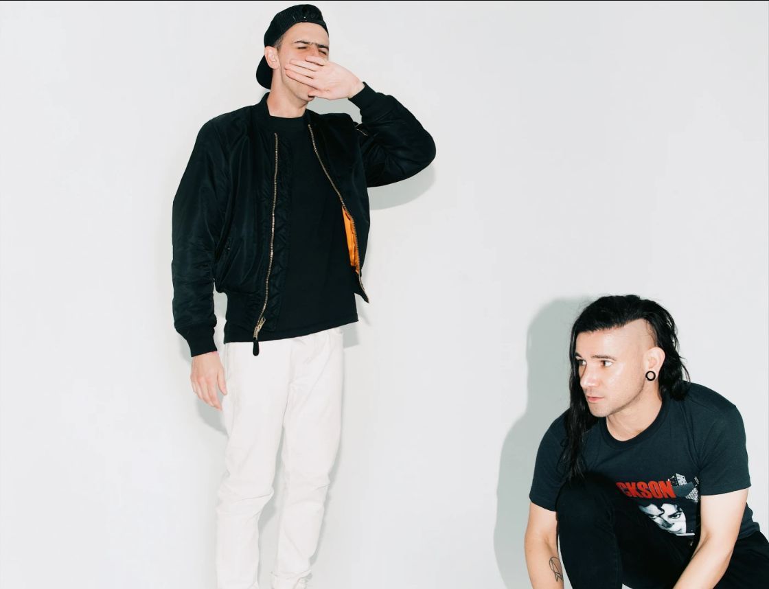 Skrillex и Boys Noize - это собачья кровь