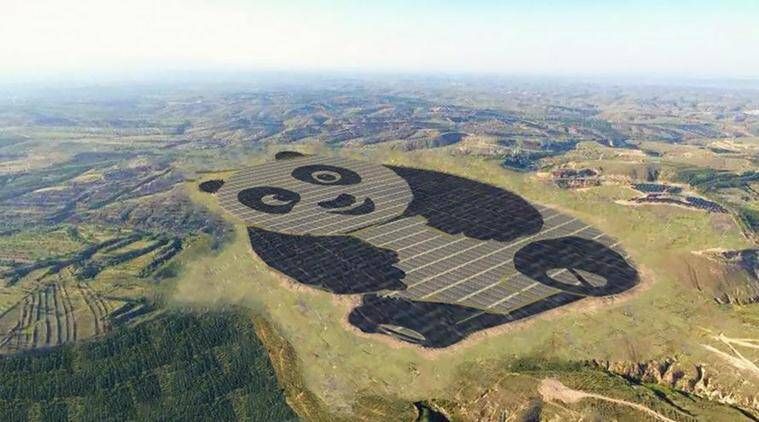China Panda Solar Plant, China Giant Panda Solar Plant, China Solar Plant Panda, Panda Green energy, China Solar Plant Panda, Panda Solar Plant China, World News, Últimas Notícias do Mundo, Indian Express, Indian Express News