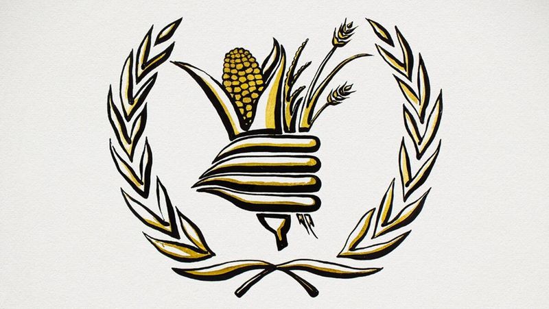 Prêmio Nobel da Paz 2020, Prêmio Nobel da Paz 2020, Prêmio Nobel da Paz 2020, Programa Mundial de Alimentos, Programa Mundial de Alimentos Prêmio Nobel, Prêmio Nobel 2020, Notícias do Prêmio Nobel, Notícias do Prêmio Nobel de 2020, Programa alimentar mundial ONU, notícias expressas indianas