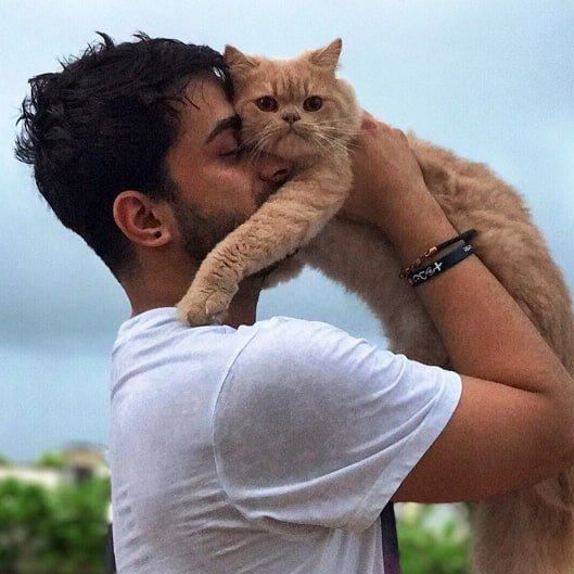 aly goni