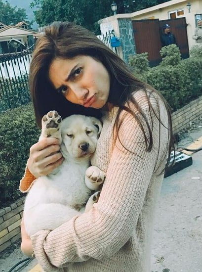 mahira chán