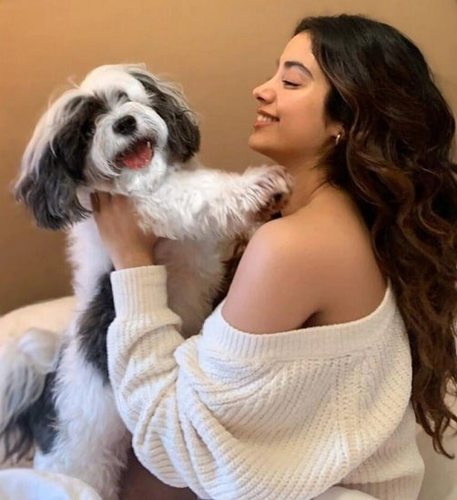 jhanvi kapoor