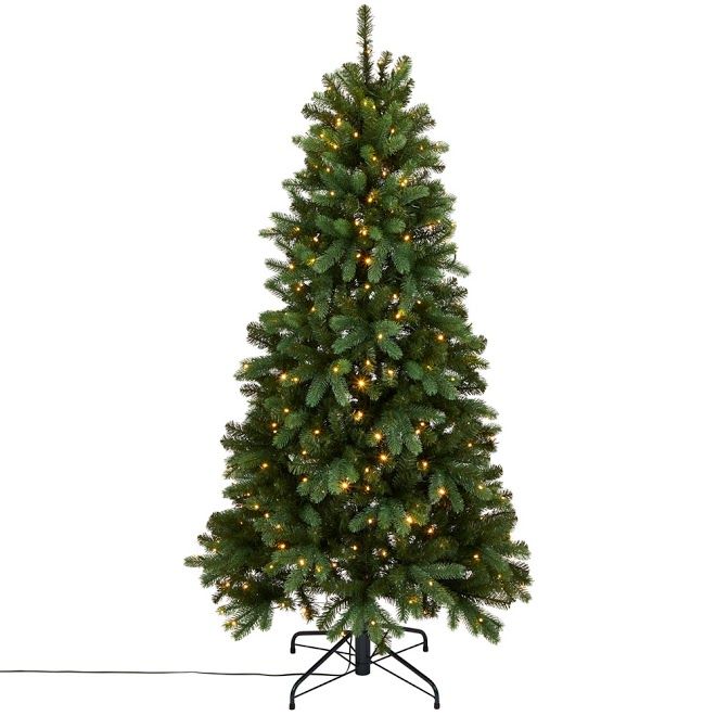 B&Q pametno videti alpsko drevo