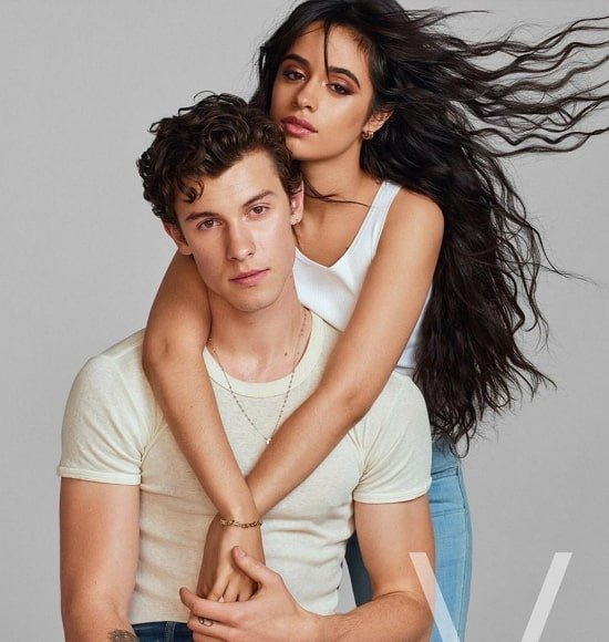 Shawn Mendes Freundin