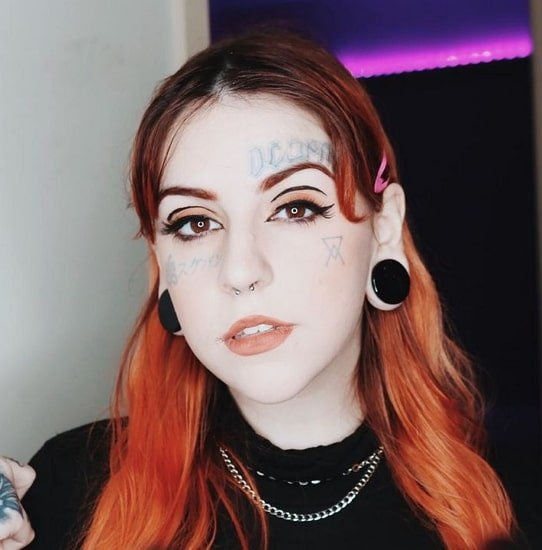 lil polievka