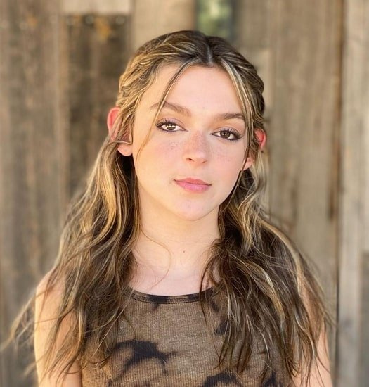 sarah dorothy little