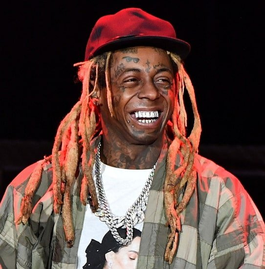 pequeño Wayne