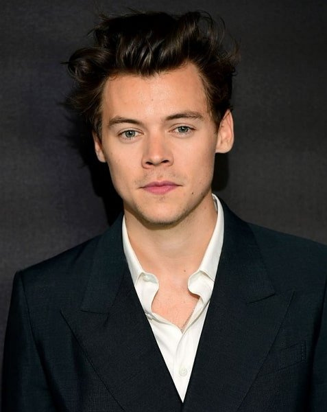harry estilos