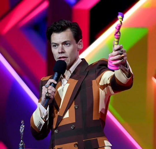 harry estilos