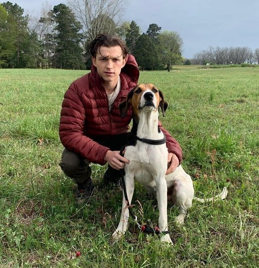 Tom Holland