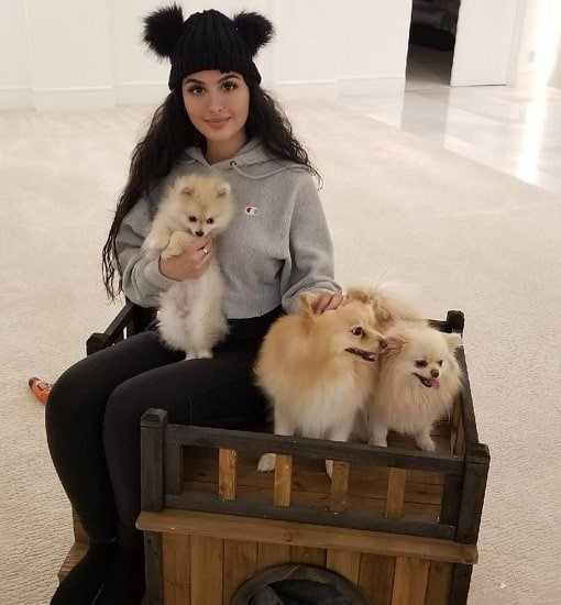   sssniperwolf