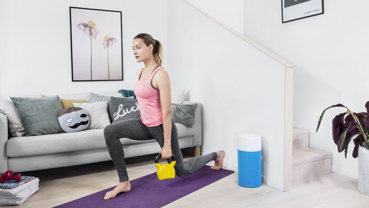 Blueair Blue Pure 411 Luftreiniger