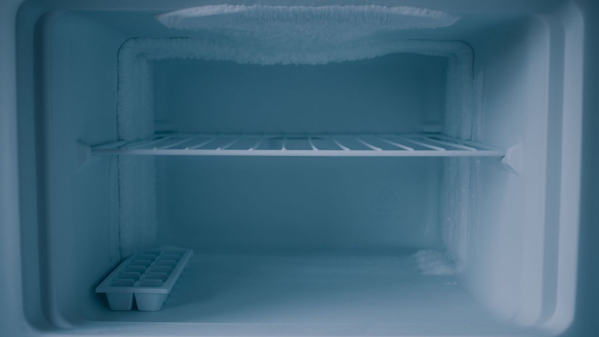 dentro de um freezer