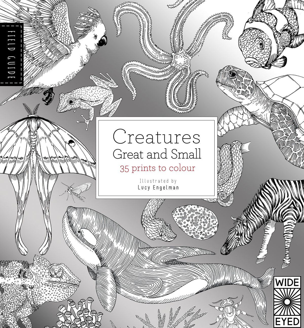 Guide de terrain : créatures grandes et petites, Lucy Engelman