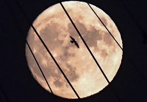Lua Cheia, Lua Azul
