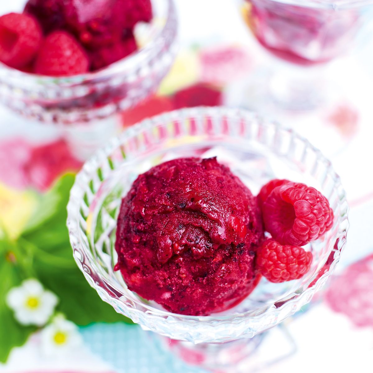 Sorbet Instant Frozen Berry