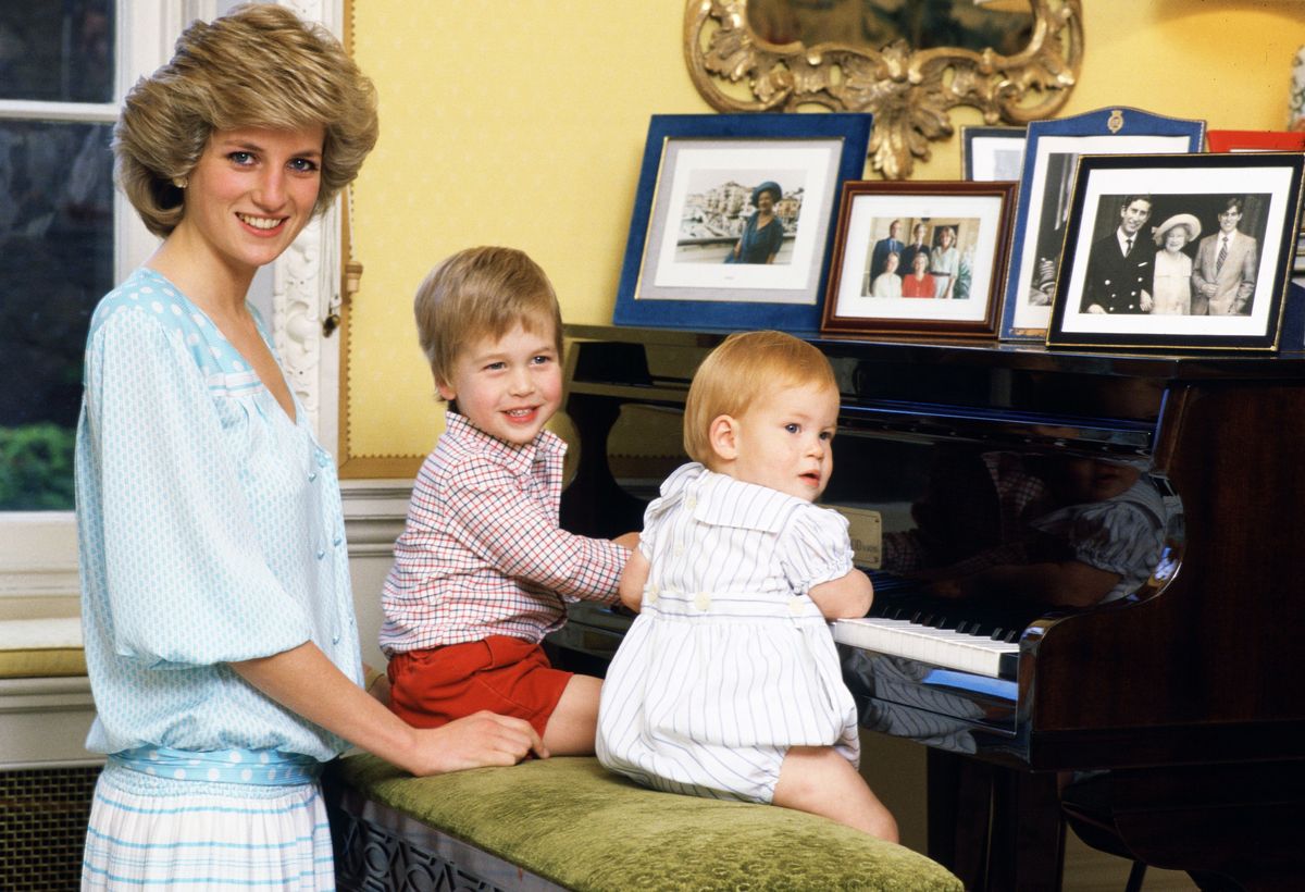 Princezná Diana Princ Harry Princ William
