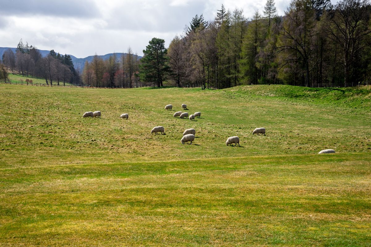 Castello di Balmoral