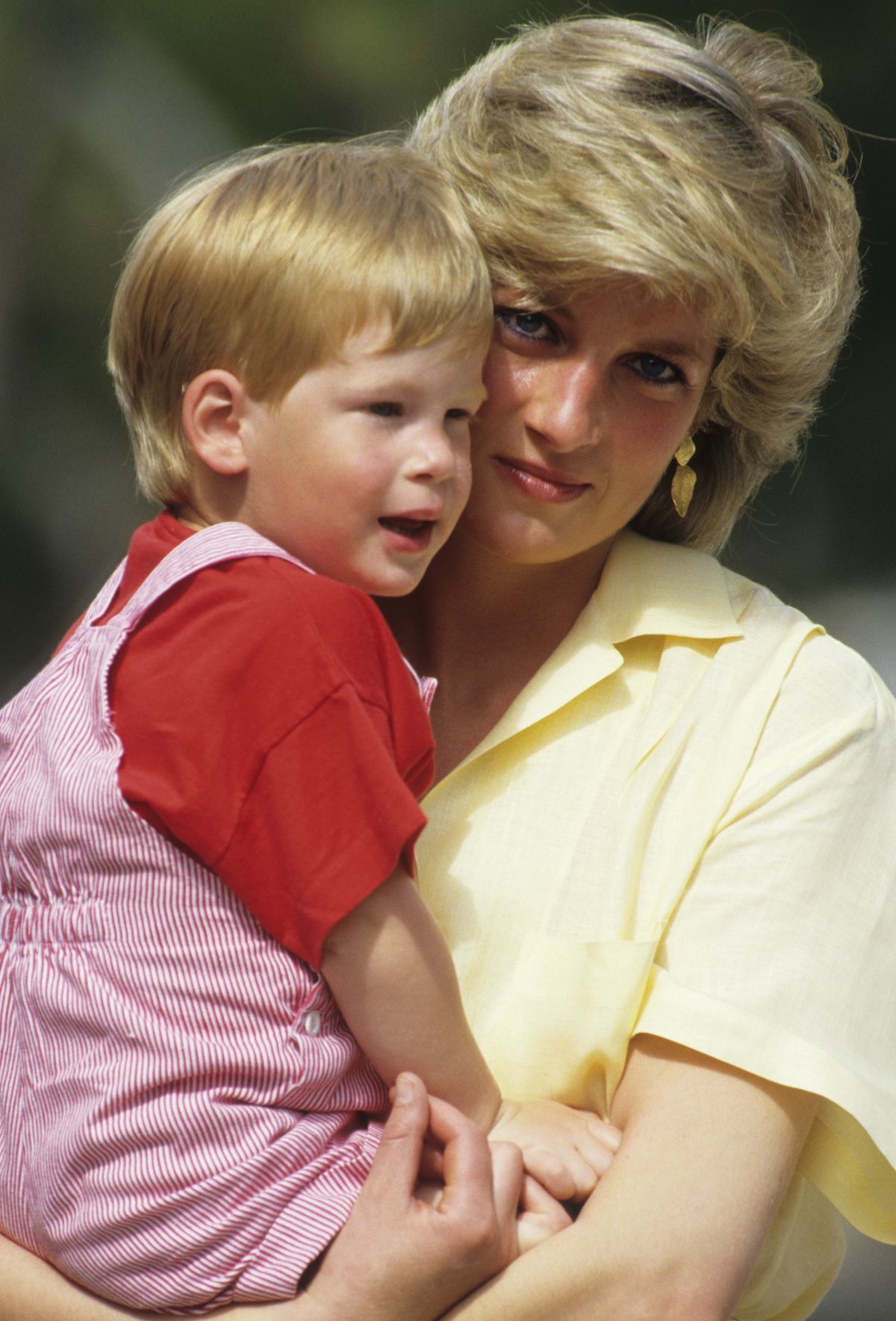 La princesse Diana et le prince Harry