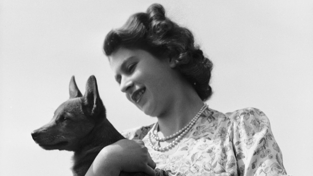 La princesa Isabel con su mascota Corgi Sue o Susan en el castillo de Windsor, Reino Unido, 30 de mayo de 1944. (Foto de Lisa Sheridan / Hulton Archive / Getty Images)