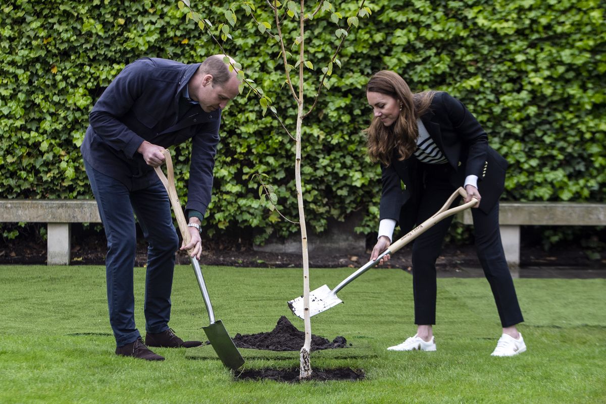 Il principe William, duca di Cambridge e Catherine, duchessa di Cambridge, partecipano alla piantagione di un albero durante una visita all