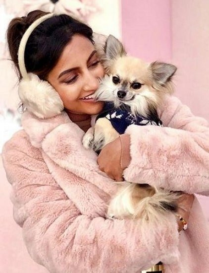 avina shah